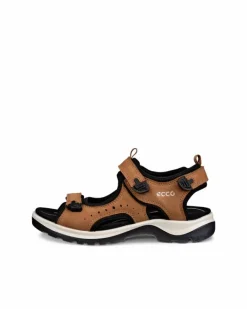ECCO Outdoor | Sandals-OFFROAD Brown