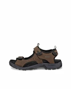 ECCO Outdoor | Sandals-OFFROAD Brown