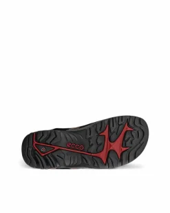 ECCO Outdoor | Sandals-OFFROAD Brown