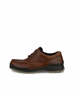 ECCO Gore-tex | Casual-TRACK 25 M Brown