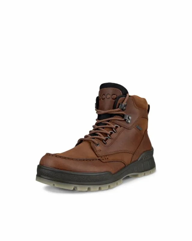 ECCO Boots | Gore-tex-TRACK 25 M Brown