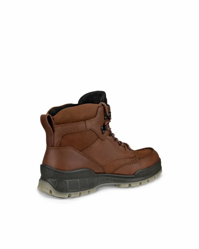 ECCO Boots | Gore-tex-TRACK 25 M Brown